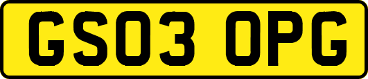 GS03OPG