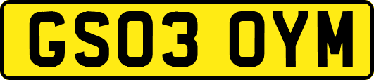 GS03OYM