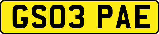 GS03PAE
