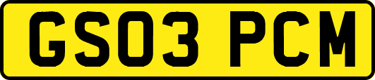 GS03PCM