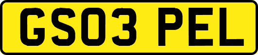 GS03PEL