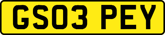 GS03PEY