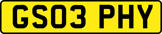 GS03PHY