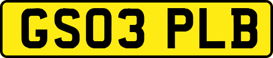 GS03PLB