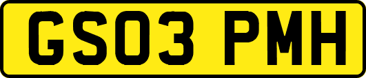 GS03PMH