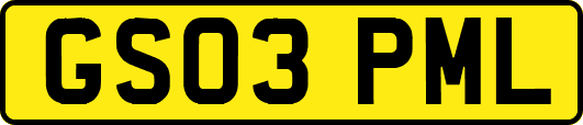 GS03PML