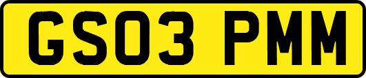 GS03PMM