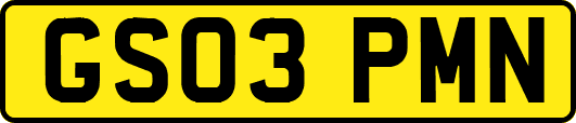 GS03PMN