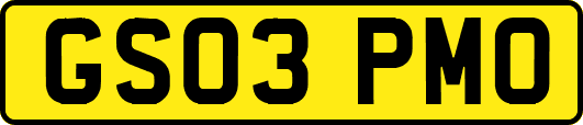 GS03PMO