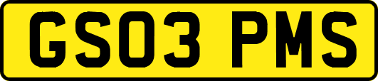 GS03PMS