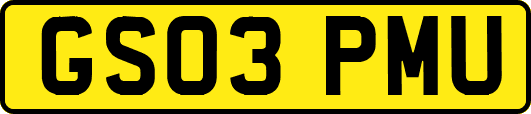 GS03PMU