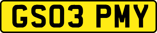 GS03PMY