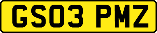 GS03PMZ