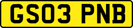 GS03PNB