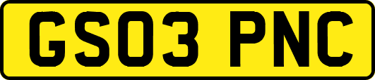 GS03PNC