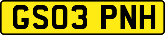 GS03PNH