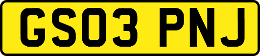 GS03PNJ