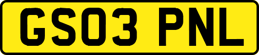 GS03PNL