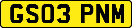 GS03PNM