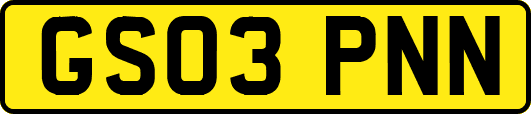 GS03PNN