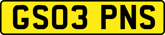 GS03PNS