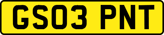 GS03PNT