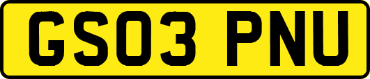 GS03PNU