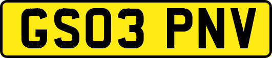GS03PNV