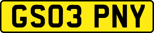 GS03PNY