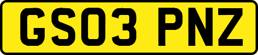 GS03PNZ