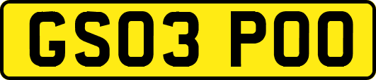GS03POO