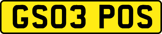 GS03POS