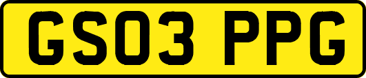 GS03PPG