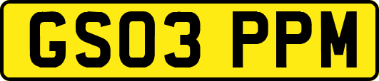 GS03PPM