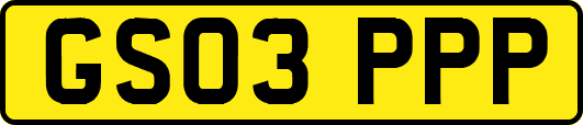 GS03PPP