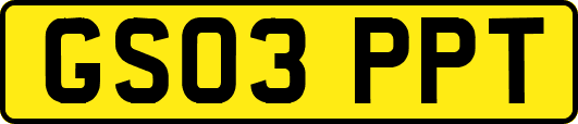 GS03PPT