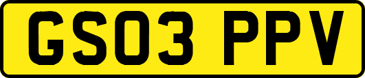 GS03PPV