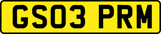 GS03PRM