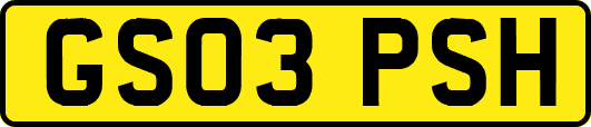GS03PSH