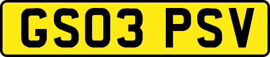 GS03PSV