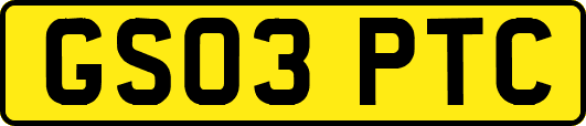 GS03PTC
