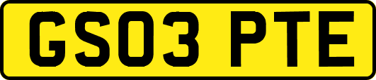 GS03PTE