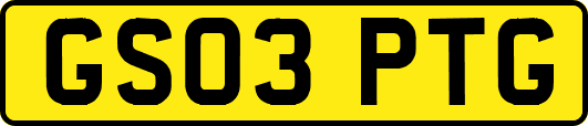GS03PTG