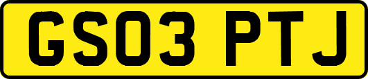 GS03PTJ
