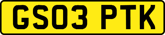 GS03PTK