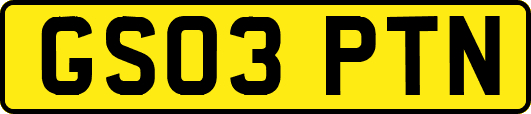 GS03PTN
