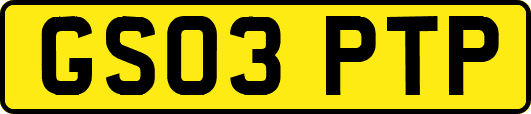 GS03PTP
