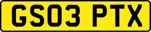GS03PTX