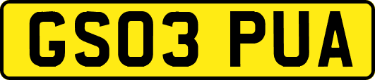 GS03PUA
