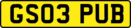 GS03PUB